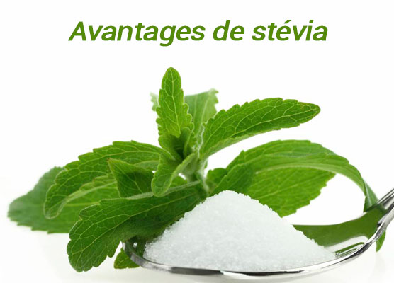 Advantages Stevia